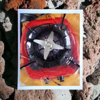 Máy Xay Sinh Tố G10