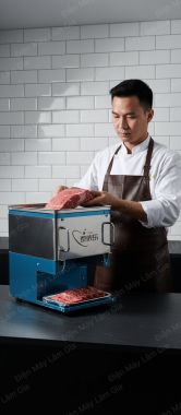 Máy Thái Thịt Tươi HD10 Lâm Gia